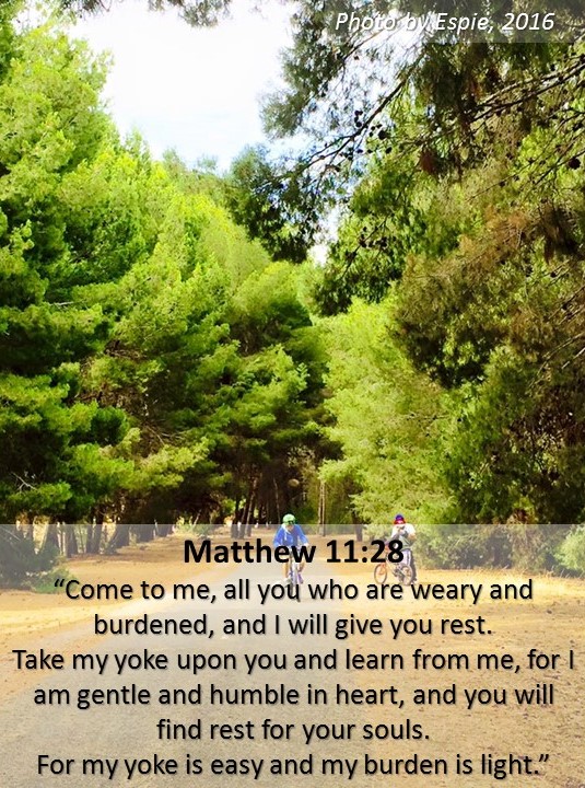 bible verse challenge day 3