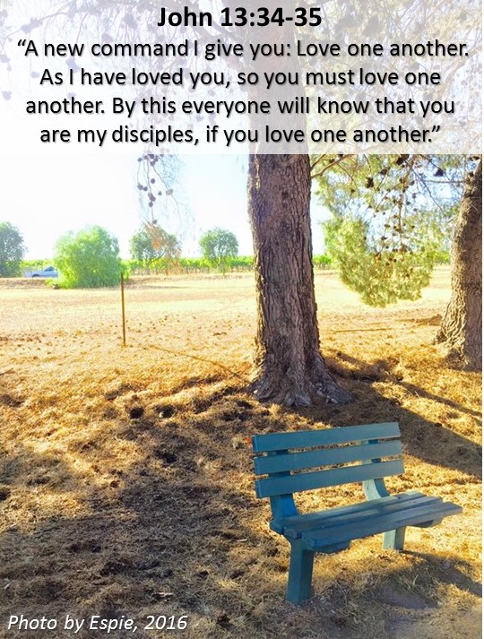 bible verse challenge day 4