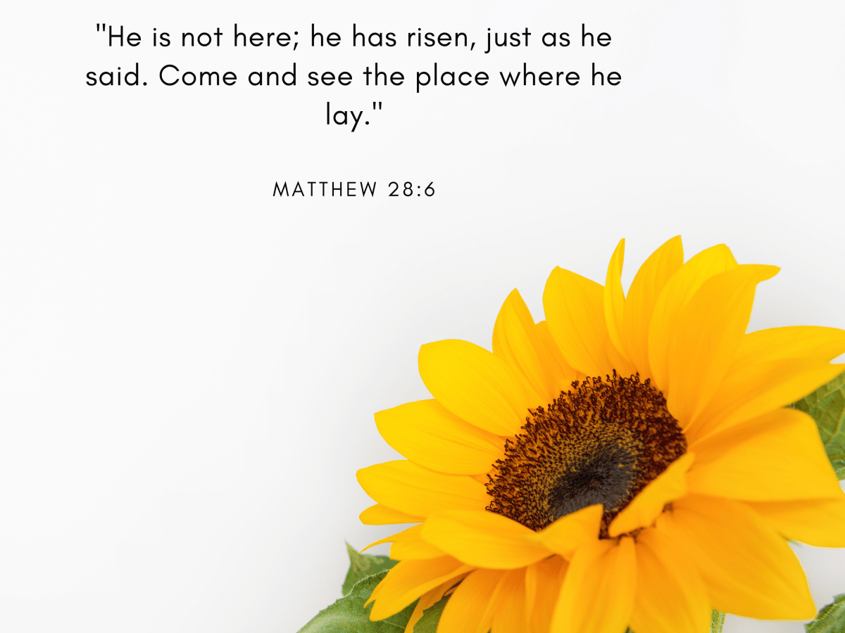 He is risen!