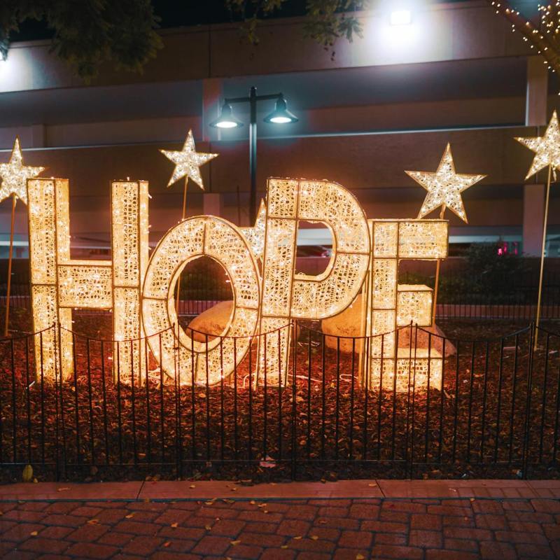 Holiday Hope Emerges Through Action