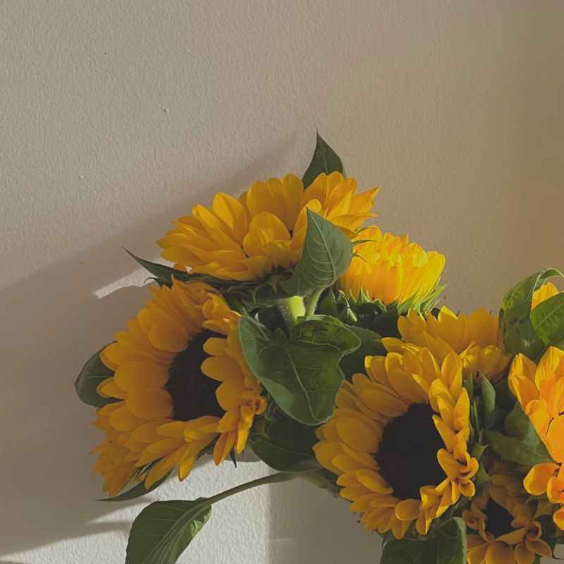 Words, Affirmations, and Perspectives to Enter the New Year with Renewed Hope and Confidence