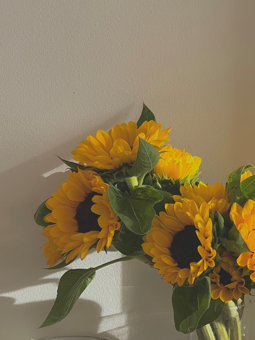 Words, Affirmations, and Perspectives to Enter the New Year with Renewed Hope and Confidence